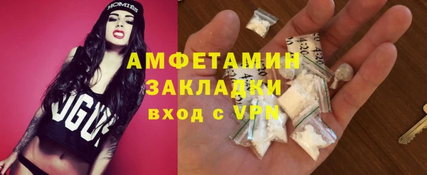 сатива Дмитровск