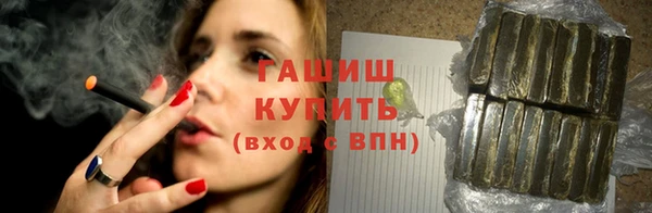 сатива Дмитровск