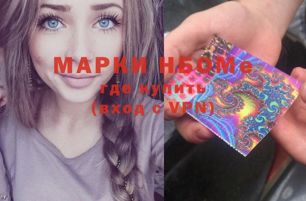 сатива Дмитровск