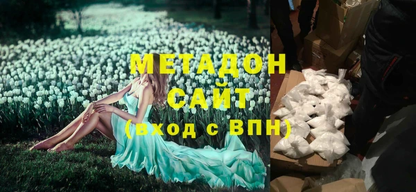 сатива Дмитровск