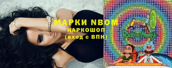 сатива Дмитровск