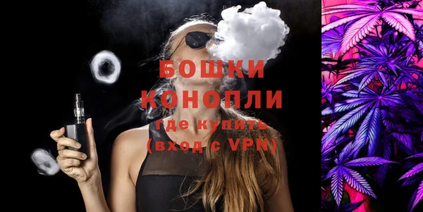 сатива Дмитровск