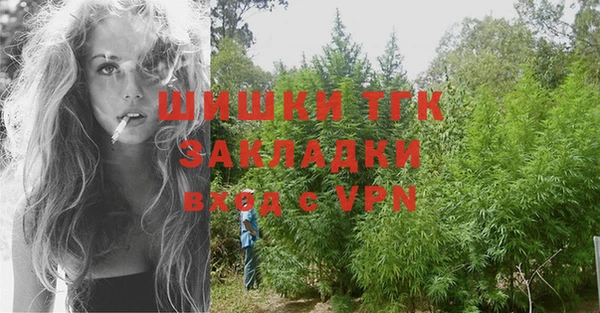 сатива Дмитровск