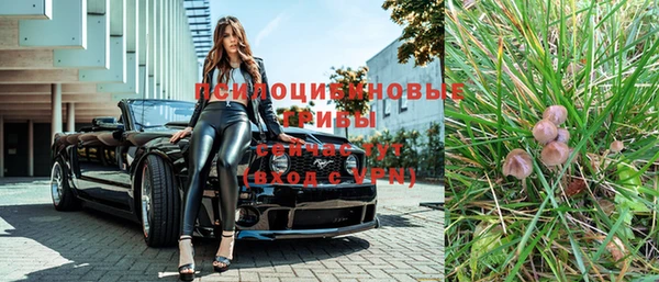 сатива Дмитровск
